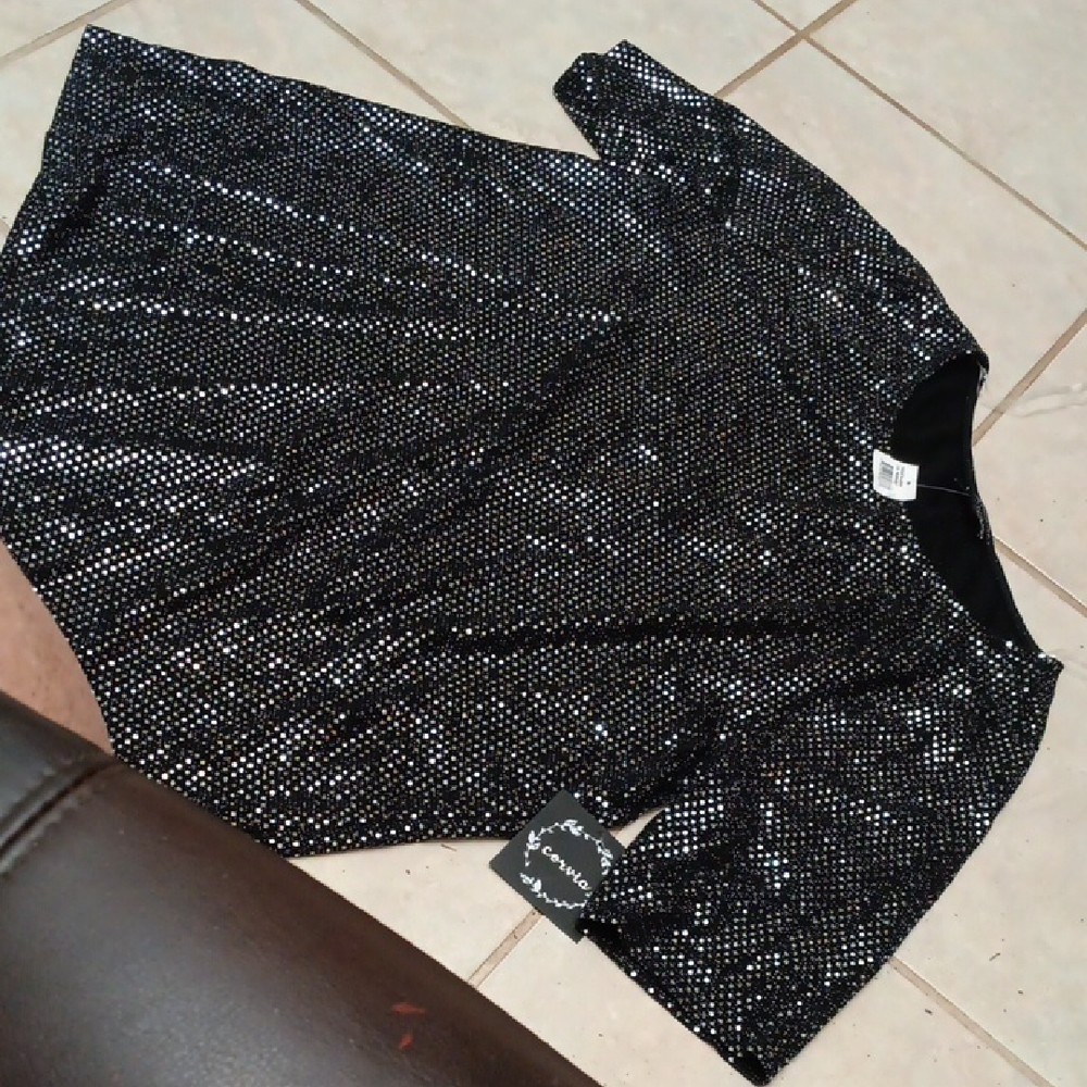 Black With Silver Sequin Blouse